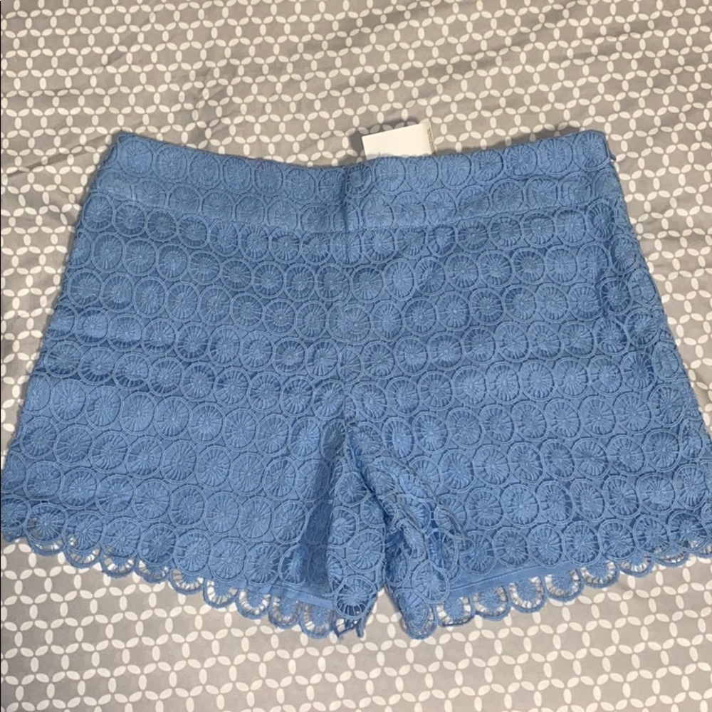 Blue Lace LOFT Shorts NWT